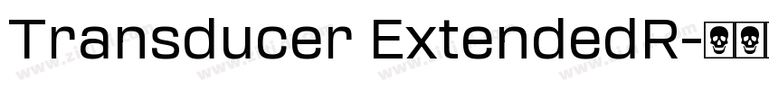Transducer ExtendedR字体转换